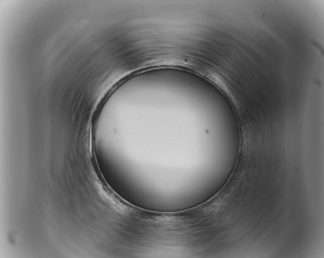 X0000102291132200808011507