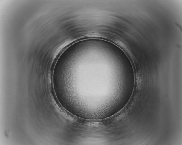 X0000102291133200808011507