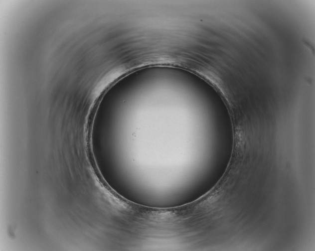 X0000102291135200808011507