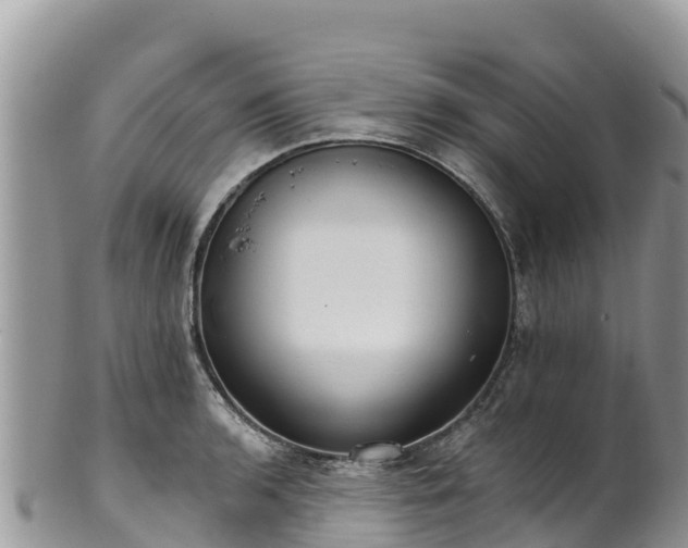 X0000102291136200808011507