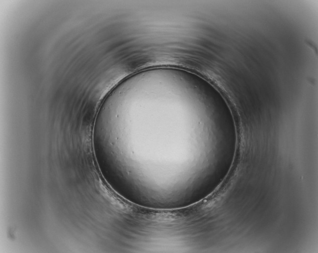 X0000102291137200808011507