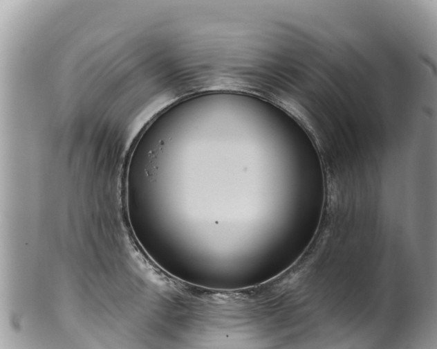 X0000102291138200808011507