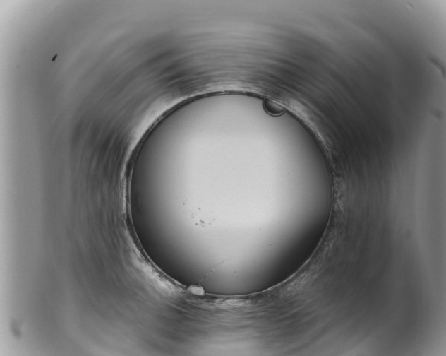 X0000102291140200808011507