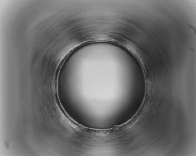 X0000102291141200808011507