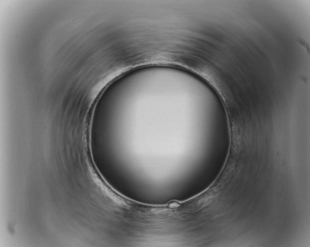 X0000102291142200808011507