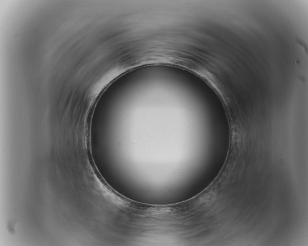 X0000102291143200808011507