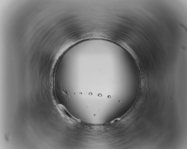 X0000102291144200808011507