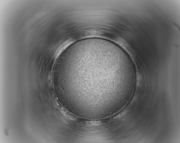 X0000102291145200808011507