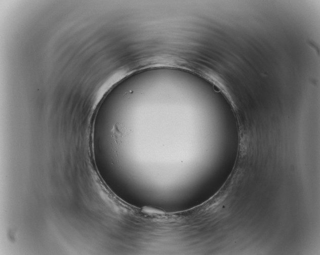 X0000102291146200808011507