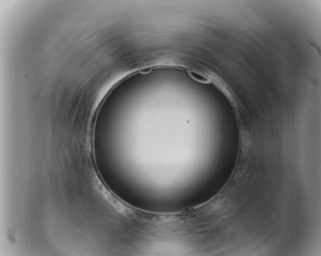 X0000102291148200808011507