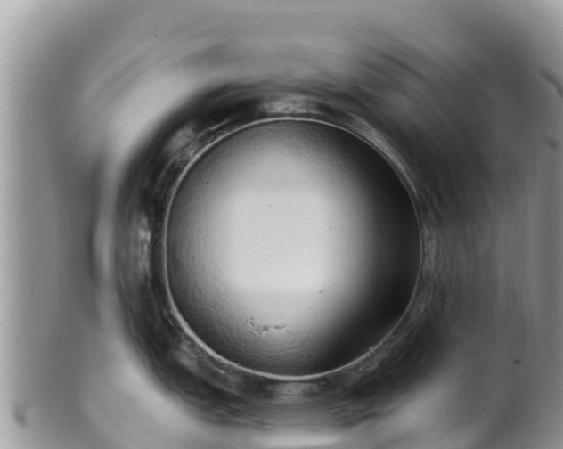 X0000102291151200808011507