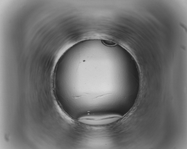 X0000102291152200808011507