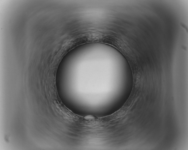 X0000102291153200808011507