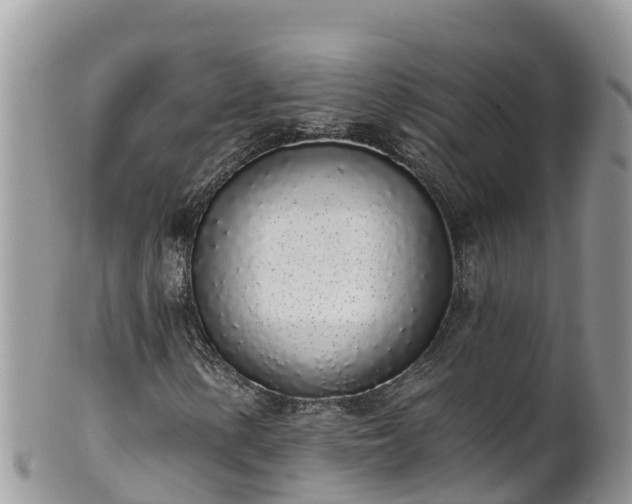 X0000102291154200808011507