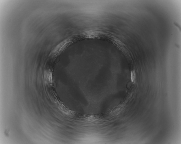 X0000102291155200808011507