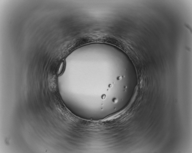 X0000102291156200808011506