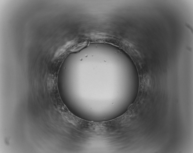 X0000102291157200808011506