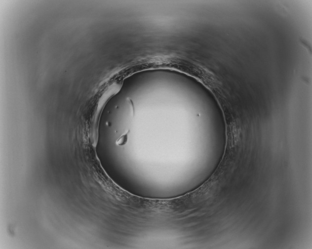 X0000102291158200808011506