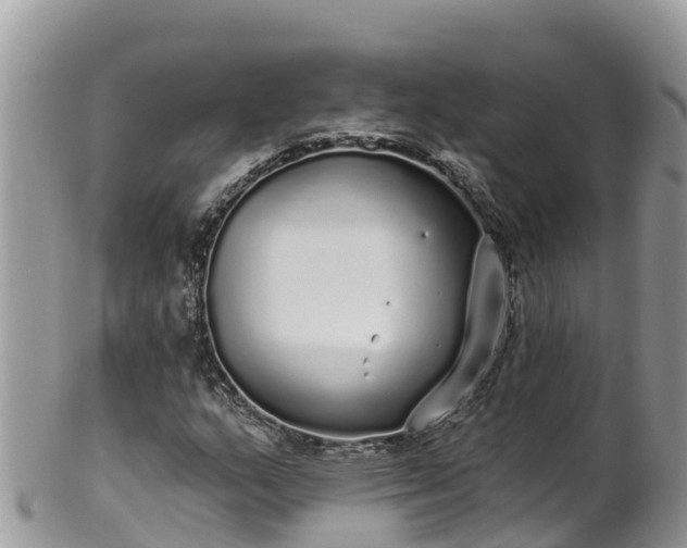 X0000102291159200808011506