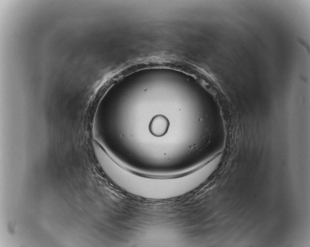 X0000102291160200808011506