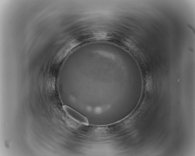 X0000102291161200808011506