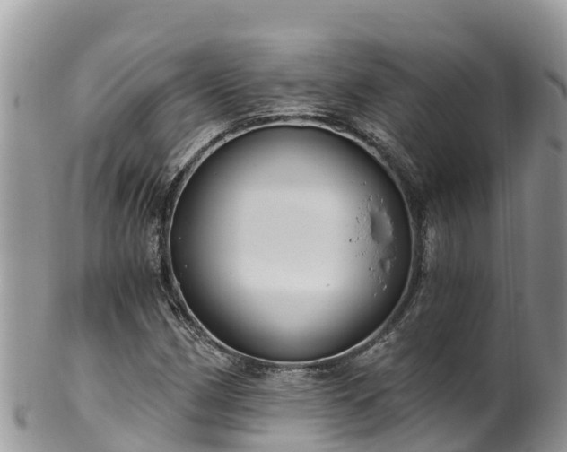 X0000102291162200808011506