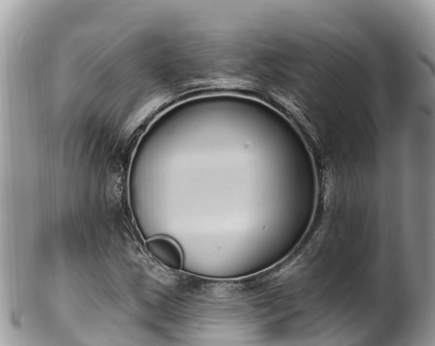 X0000102291163200808011506