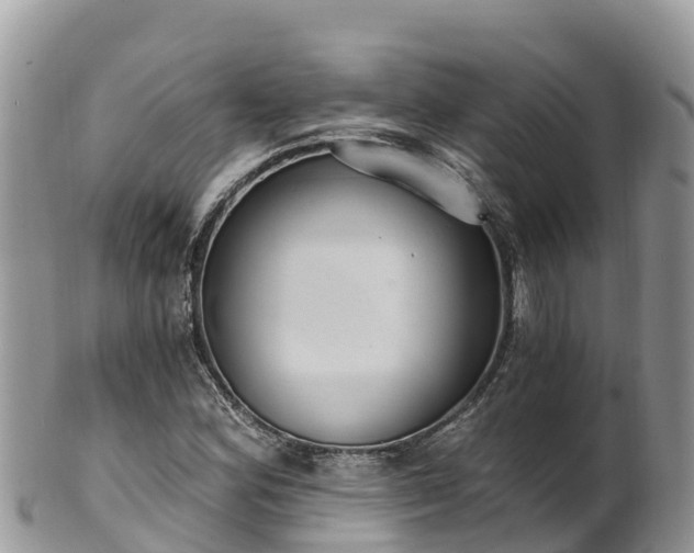 X0000102291164200808011506