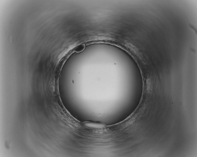 X0000102291165200808011506