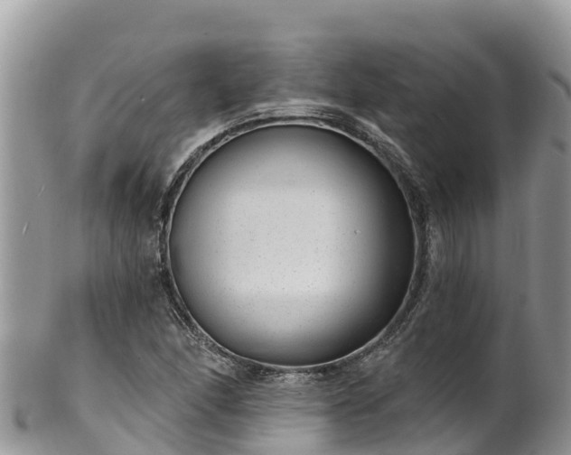 X0000102291166200808011506