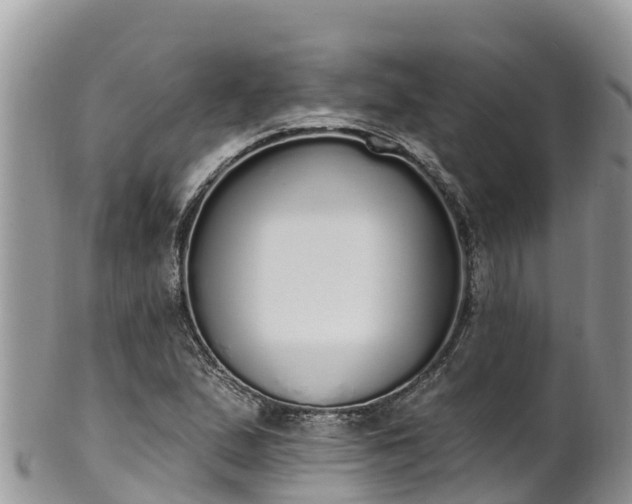 X0000102291167200808011506