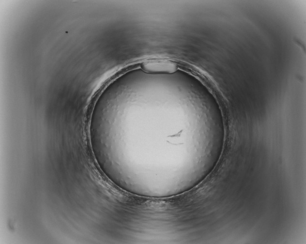 X0000102291168200808011506