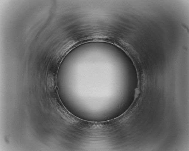 X0000102291169200808011506