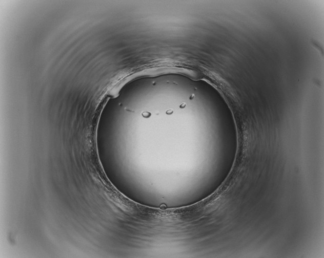 X0000102291170200808011506