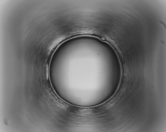 X0000102291171200808011506