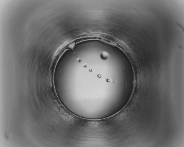 X0000102291172200808011506