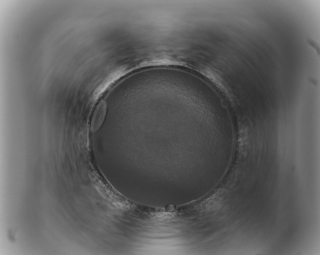 X0000102291173200808011506