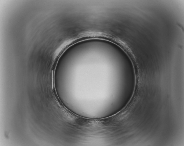 X0000102291175200808011506