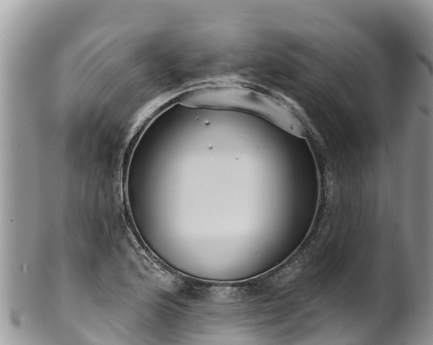 X0000102291176200808011506