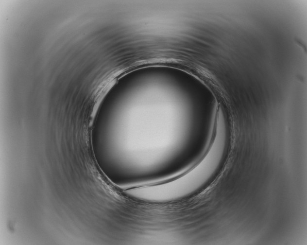 X0000102291177200808011506