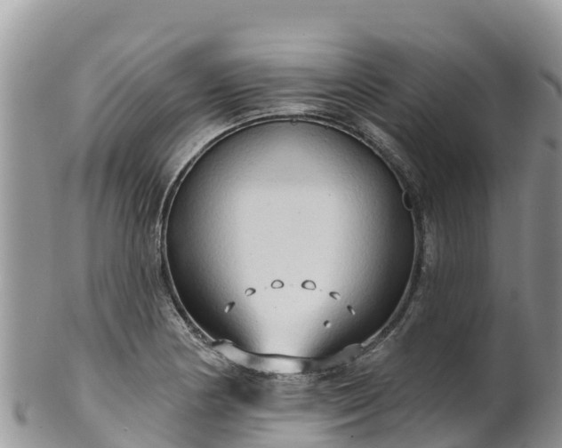 X0000102291178200808011506