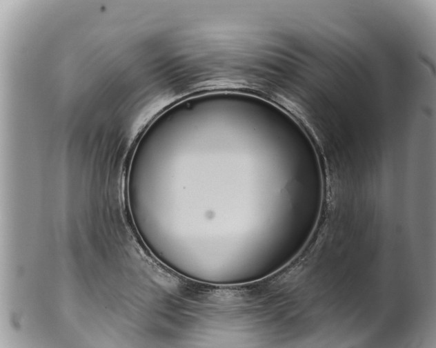 X0000102291179200808011506