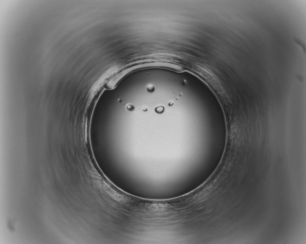 X0000102291180200808011506