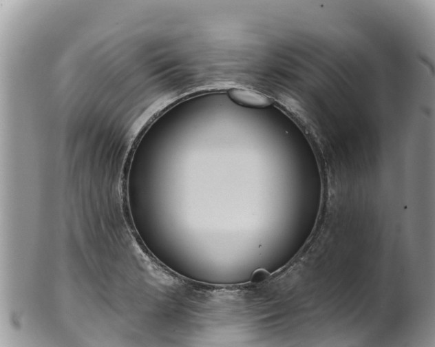 X0000102291181200808011506