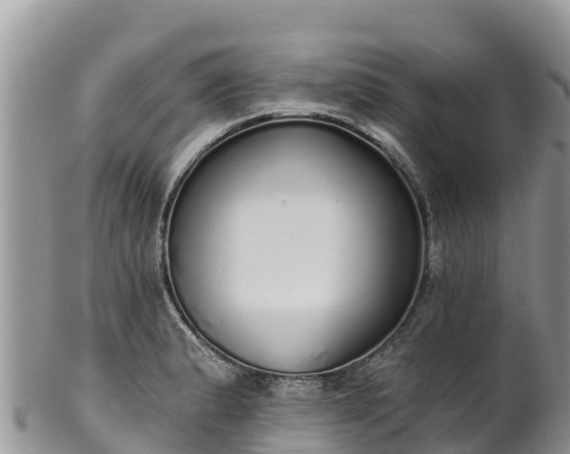 X0000102291183200808011506