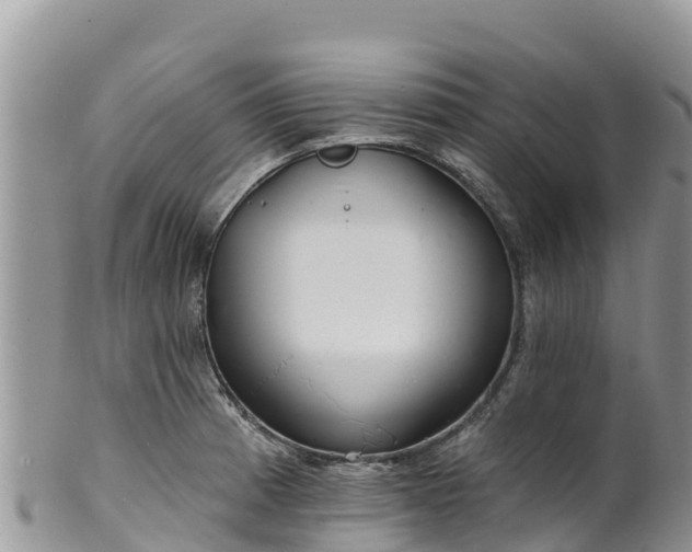 X0000102291185200808011506