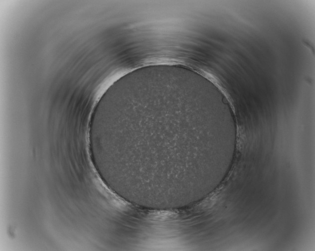 X0000102291187200808011506