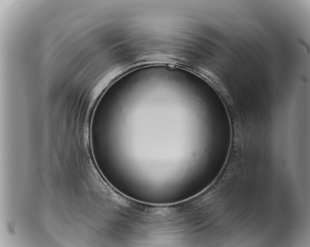 X0000102291188200808011506