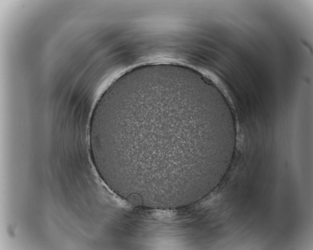 X0000102291191200808011506