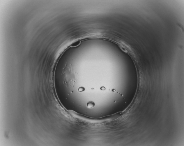 X0000102291192200808011506